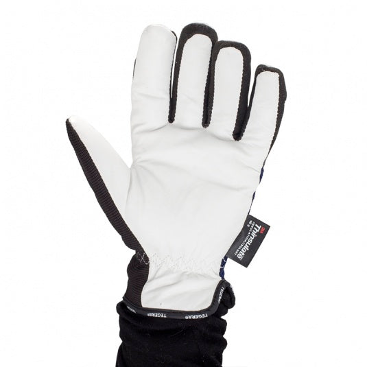 Ejendals Tegera 295 Insulated Waterproof Goatskin Work Gloves – Ultimate Cold Protection